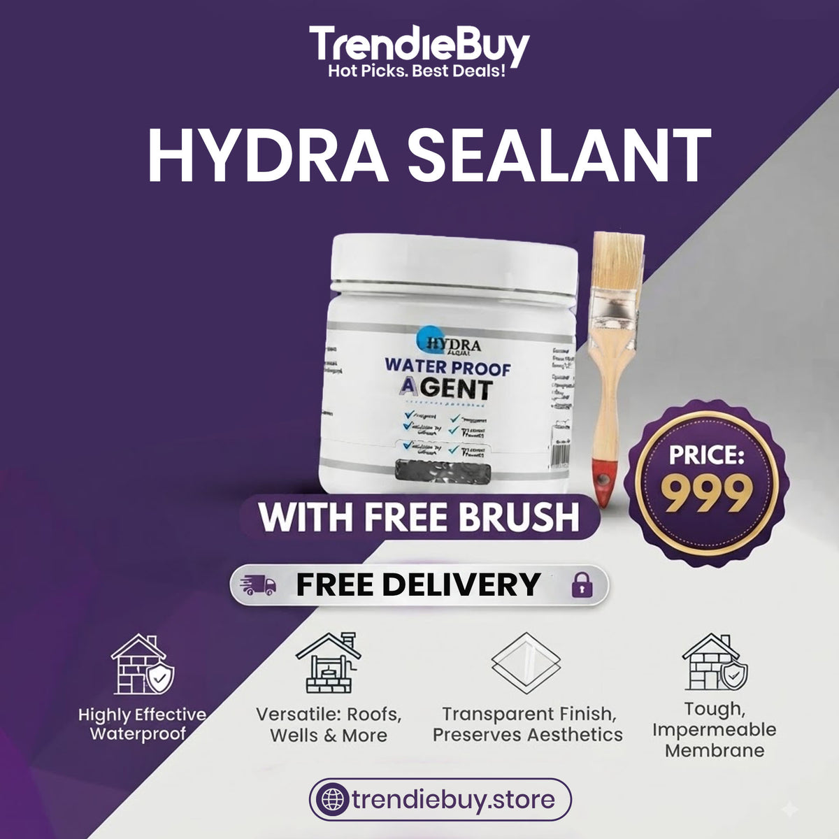HYDRA Sealant Waterproofing Agent, 500g, Effective Anti-Leakage Protection